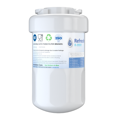 Refresh R-9991 Replacement Refrigerator Water Filter for GE MWF